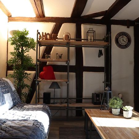 Sous Les Toits Du Zinc - Climatise Apartment Colmar Luaran gambar