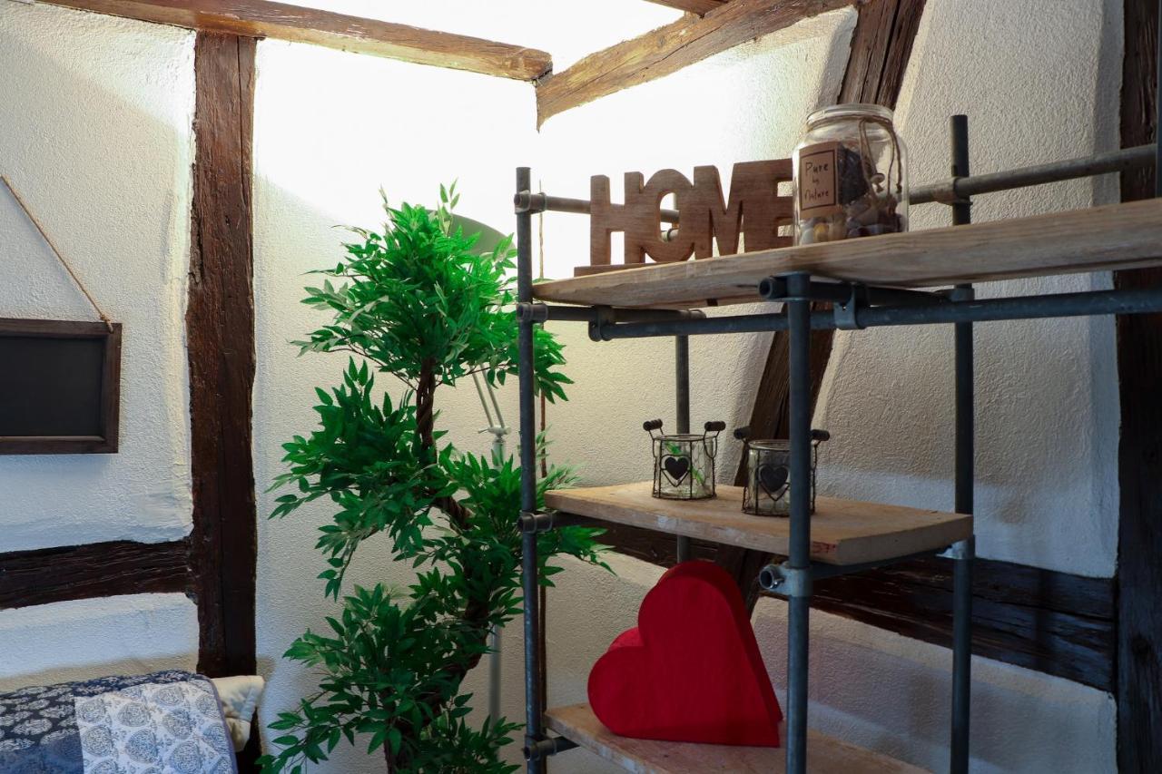 Sous Les Toits Du Zinc - Climatise Apartment Colmar Luaran gambar